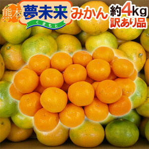 hF{Y ݂h 󂠂 4kg 傫܂y\ 11{ȍ~z 