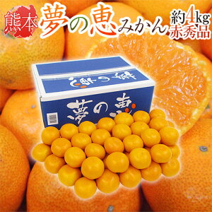 熊本産 夢未来 ”夢の恵みかん” 赤秀品 S/M/Lサイズ 約4kg【予約 11月中旬以降】 送料無料
