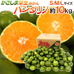 みかん10kgの通販 価格比較 価格 Com みかん10kgの通販 価格比較 価格 Com