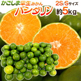 楽天市場 酸っぱい みかんの通販