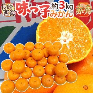  C hq݂h ԏGi S/M/LTCY 3kg Œᓜx13xۏ؁y\ 11{ȍ~z 