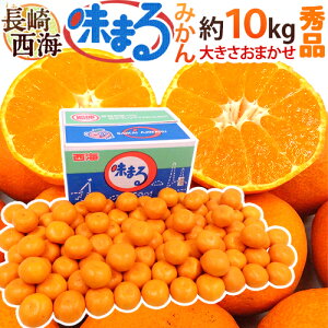  C h܂݂h Gi 10kg 傫܂ Ynϔ Œᓜx12xۏ؁y\ 11{ȍ~z 