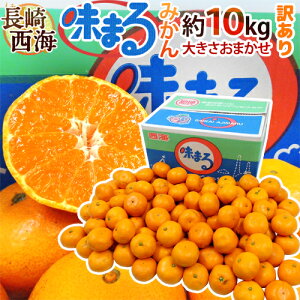  C h܂݂h 󂠂 10kg 傫܂ Ynϔ Œᓜx12xۏ؁y\ 11{ȍ~z 