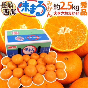  C h܂݂h Gi 2.5kg 傫܂ Ynϔ Œᓜx12xۏ؁y\ 11{ȍ~z 