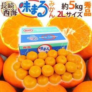  C h܂݂h Gi 2LTCY 5kg Ynϔ Œᓜx12xۏ؁y\ 11{ȍ~z 