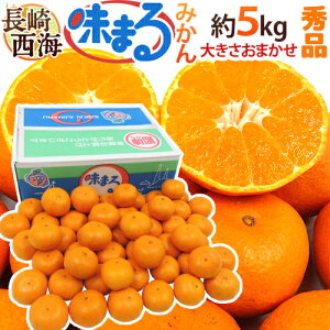  C h܂݂h Gi 5kg 傫܂ Ynϔ Œᓜx12xۏ؁y\ 11{ȍ~z 