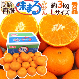  C h܂݂h Gi LTCY 3kg Ynϔ Œᓜx12xۏ؁y\ 11{ȍ~z 