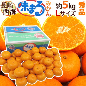  C h܂݂h Gi LTCY 5kg Ynϔ Œᓜx12xۏ؁y\ 11{ȍ~z 