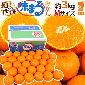  C h܂݂h Gi MTCY 3kg Ynϔ Œᓜx12xۏ؁y\ 11{ȍ~z 