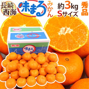  C h܂݂h Gi STCY 3kg Ynϔ Œᓜx12xۏ؁y\ 11{ȍ~z 