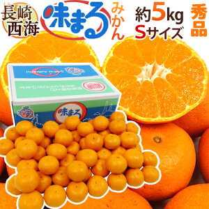  C h܂݂h Gi STCY 5kg Ynϔ Œᓜx12xۏ؁y\ 11{ȍ~z 