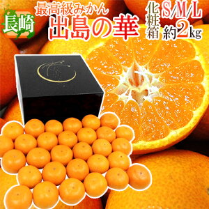 hY ỏ؁h Gi S/M/LTCY 2kg ϔ ܂Eq̍ŏʓy\ 12{ȍ~z 