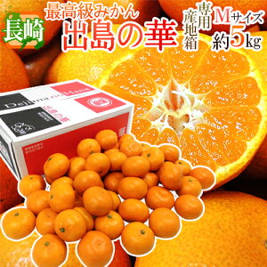 Y hỏ؁h Gi MTCY 5kg ܂Eq̍ŏʓy\ 12{ȍ~z 