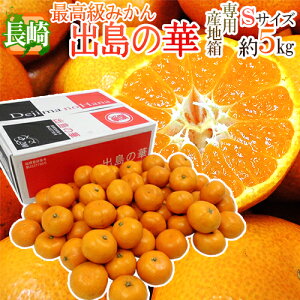 Y hỏ؁h Gi STCY 5kg ܂Eq̍ŏʓy\ 12{ȍ~z 