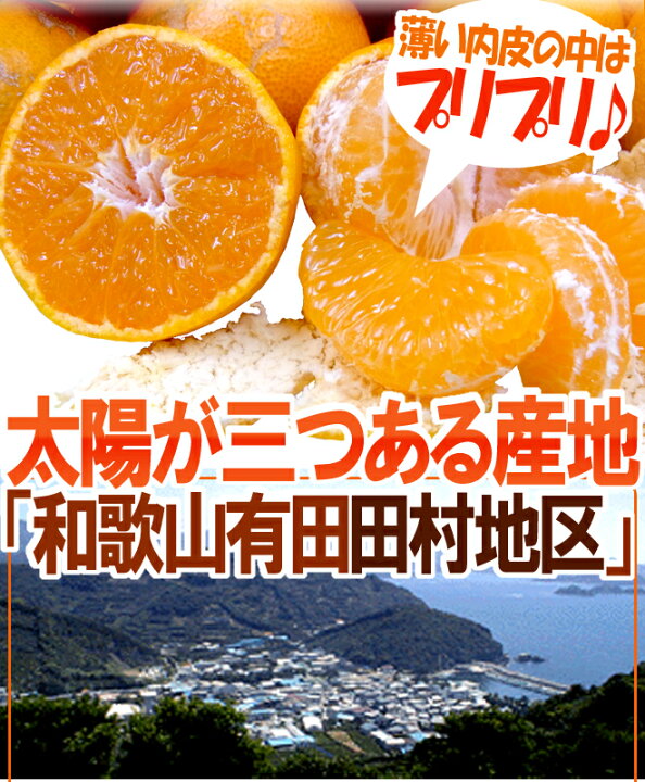 楽天市場】和歌山有田産 ”田村みかん” 訳あり S〜Lサイズ 約10kg【予約 11月末以降】 送料無料 : くらし快援隊〜お中元お歳暮ギフト 楽天市場】和歌山有田産 ”田村みかん” 訳あり S〜Lサイズ 約10kg【予約 11月末以降】 送料無料 : くらし快援隊〜お中元お歳暮ギフト