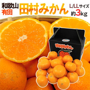 a̎RLcY hc݂h Gi L`LL 3kg ϔy\ 11ȍ~z 