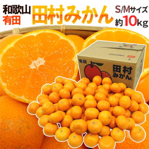 a̎RLcY hc݂h Gi S`M 10kg Yny\ 11ȍ~z 