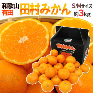 a̎RLcY hc݂h Gi S`M 3kg ϔy\ 11ȍ~z 