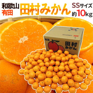a̎RLcY hc݂h Gi SS 10kg Yny\ 11ȍ~z 
