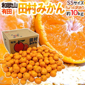 楽天市場 みかん 箱入り 10kgの通販