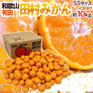 a̎RLcY hc݂h Ɩ󂠂 SS 10kg Yny\ 11ȍ~z 