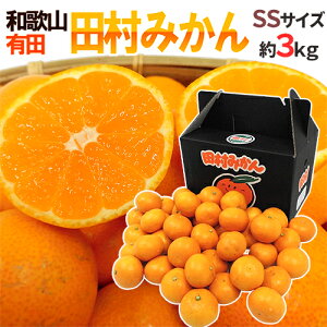 a̎RLcY hc݂h Gi SS 3kg ϔy\ 11ȍ~z 