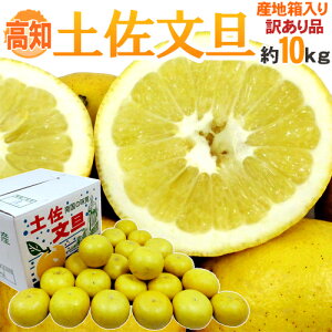 �h���m�Y �y�����U�h �󂠂� L�`4L�T�C�Y ��10kg�y�\�� 2�������{�ȍ~�z ��������