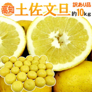 �h���m�Y �y�����U�h �󂠂� ��10kg �傫�����܂����y�\�� 2���ȍ~�z ��������