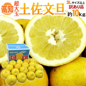 �h���m�Y �y�����U�h �󂠂� ����ʌ���3L/4L�T�C�Y ��8�`10kg�y�\�� 2�������{�ȍ~�z ��������