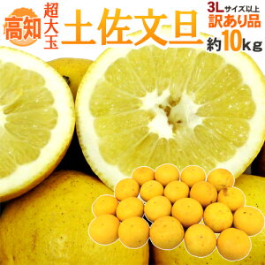 �h���m�Y �y�����U�h �󂠂� ��ʌ��� 3L�T�C�Y�ȏ� ��10kg�y�\�� 2���ȍ~�z ��������