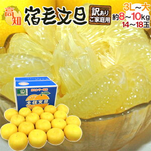 ���m�Y �y�����U �h�h�ѕ��U�h �󂠂� 3L�`��T�C�Y ��8�`10kg �Y�n���y�\�� 2���ȍ~�z ��������