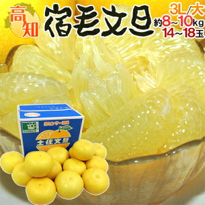 ���m�Y �y�����U �h�h�ѕ��U�h �G�i 3L�`��T�C�Y ��8�`10kg �Y�n���y�\�� 2���ȍ~�z ��������