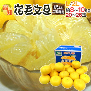 ���m�Y �y�����U �h�h�ѕ��U�h �󂠂� L�`2L�T�C�Y ��8�`10kg �Y�n���y�\�� 2���ȍ~�z ��������