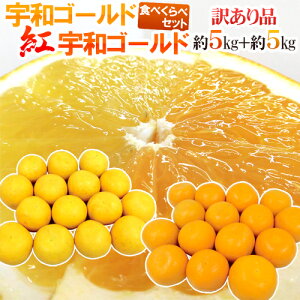 ゴールド フルーツ みかんの人気商品 通販 価格比較 価格 Com ゴールド フルーツ みかんの人気商品 通販 価格比較 価格 Com