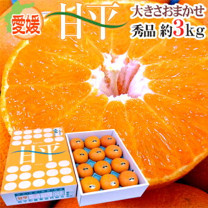 ���Q�Y �h�Õ��h �G�i ��3kg �傫�����܂��� ���ϔ��y�\�� 1�����{�ȍ~�z ��������