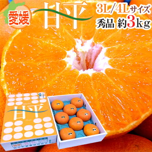 ���Q�Y �h�Õ��h �G�i 3L�`4L �����8�`10�� ��3kg ���ϔ��y�\�� 1�����{�ȍ~�z ��������