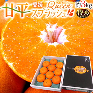 ���Q�Y �h�Õ� ���QQueen�X�v���b�V���h ���G�i 2L�T�C�Y�ȏ� 8�`12�� ��3kg ���ϔ� ���x13�x�ȏ�y�\�� 1�����{�ȍ~�z ��������