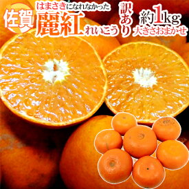 ”佐賀産 はまさきになれなかった 麗紅” 訳あり 約1kg 大きさおまかせ《2kg購入で1kg、3kg購入で2kg、5kg購入で5kgおまけ》【予約 2月以降】 送料無料