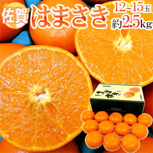 【送料無料】佐賀産 ”はまさき” 12〜18玉 約2.5kg 化粧箱入り 麗紅【予約 2月以降】