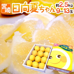 {茧Y hāh 9`13 2.5kg ϔy\ 12ȍ~z 