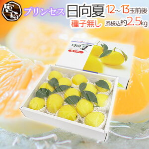 宮崎県産 ”プリンセス 日向夏” 赤秀品 12〜13玉前後 風袋込約2.5kg 化粧箱 種子無し【予約 12月下旬以降】 送料無料
