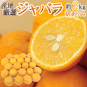 �h�W���o���h �󂠂� ��2kg �傫�����܂��� �Y�n���I ����΂�y�\�� 2�����{�ȍ~�z ��������