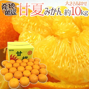 みかん 10kg 送料無料の人気商品 通販 価格比較 価格 Com