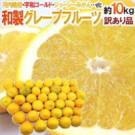 ”和製グレープフルーツ” 訳あり 約10kg 大きさおまかせ【予約 4月以降】 送料無料