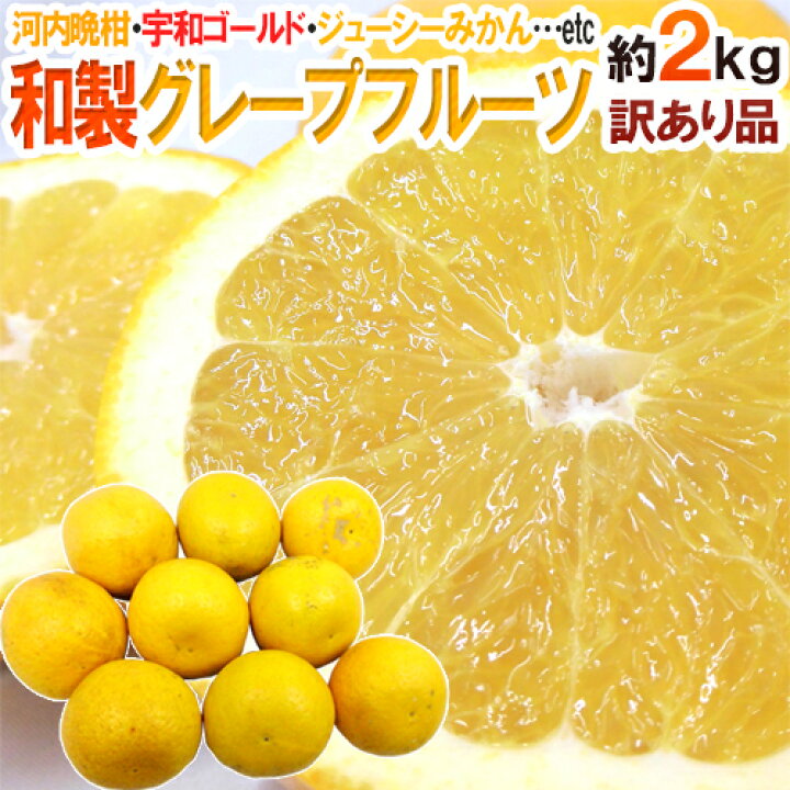 楽天市場】”和製グレープフルーツ” 訳あり 約2kg《2セット購入で2kg 