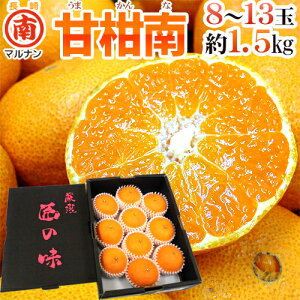 Y ÔVP h}iÊi܂ȁjh Gi 8`13ʑO 1.5kg ϔy\ 2ȍ~z 