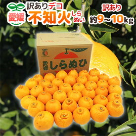 愛媛産 ”不知火・しらぬい（訳ありデコポン）” 約9〜10kg 大きさおまかせ【予約 3月以降】 送料無料