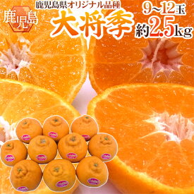 楽天市場 ポンカンの通販 楽天市場 ポンカンの通販