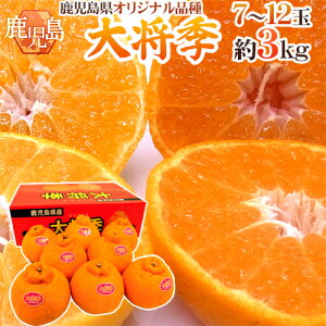 Y hfR| 叫Gh Gi 7`12 3kg Ynϔy\ 12ȍ~z 