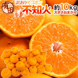 ”和歌山 有田産 不知火・しらぬい（訳ありデコポン）” 約10kg 大きさおまかせ【予約 2月下旬以降】 送料無料